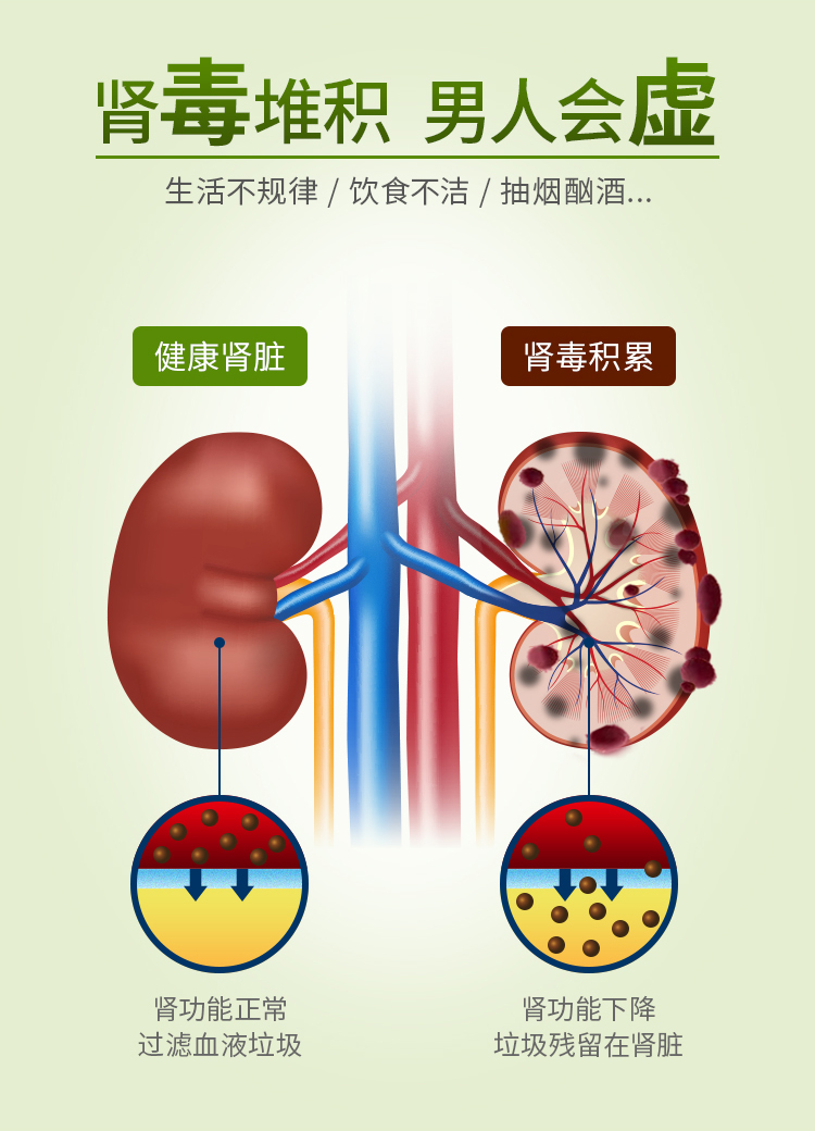 白桦-NEW_03.jpg