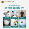 BECHI 白桦蒲公英复合胶囊 植物精华 去肾毒 排结石 消炎利尿 预防肾炎 养肾护肾 60粒/瓶 商品缩略图1