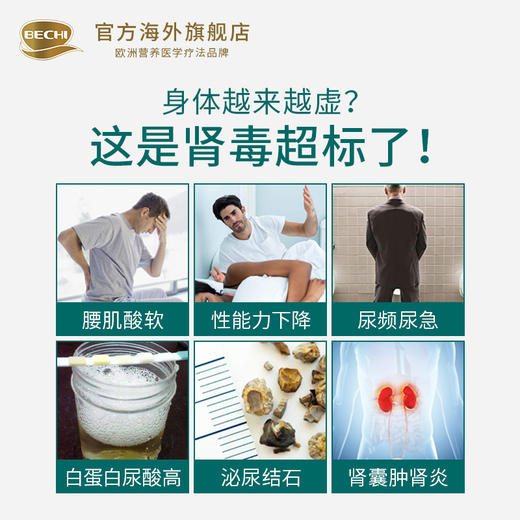 BECHI 白桦蒲公英复合胶囊 植物精华 去肾毒 排结石 消炎利尿 预防肾炎 养肾护肾 60粒/瓶 商品图1
