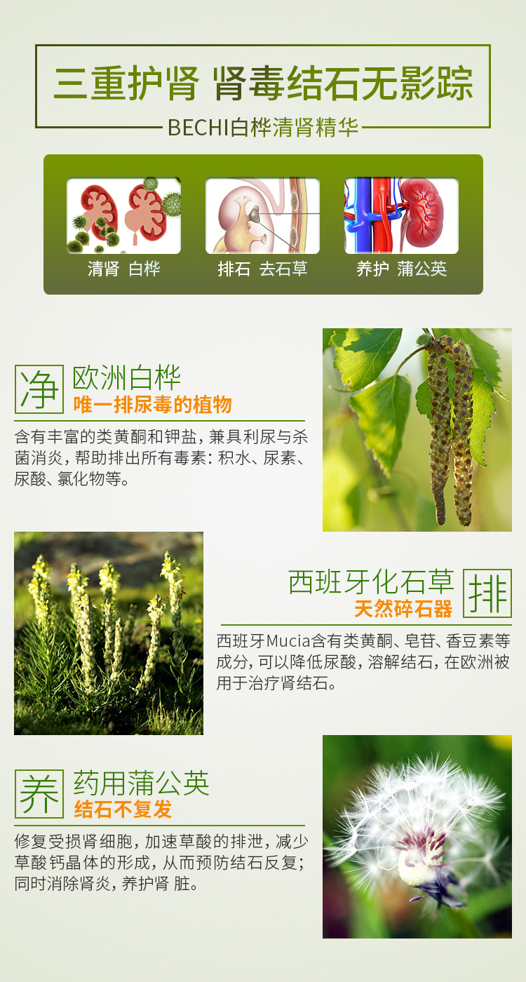 白桦-NEW_07.jpg