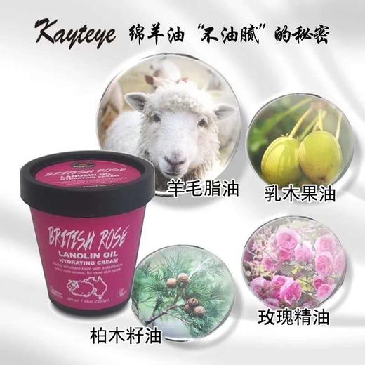 【Kayteye柯泰儿澳洲进口绵羊油】玫瑰 / 薰衣草  身体乳 买一送一 商品图2