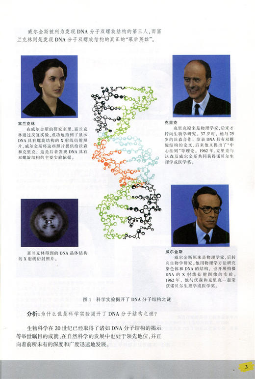 普通高中课程标准实验教科书 生物 选修1 生物技术实践 商品图5