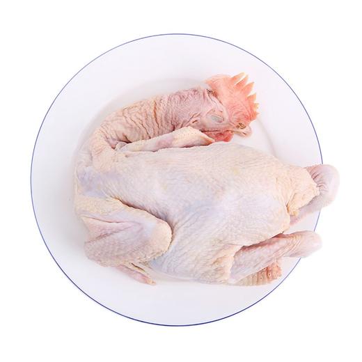 【618秒】苏食天农清远鸡750g6月16日20点？元/份限5份【0510】 商品图0
