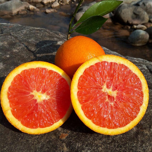 红橙 商品图2