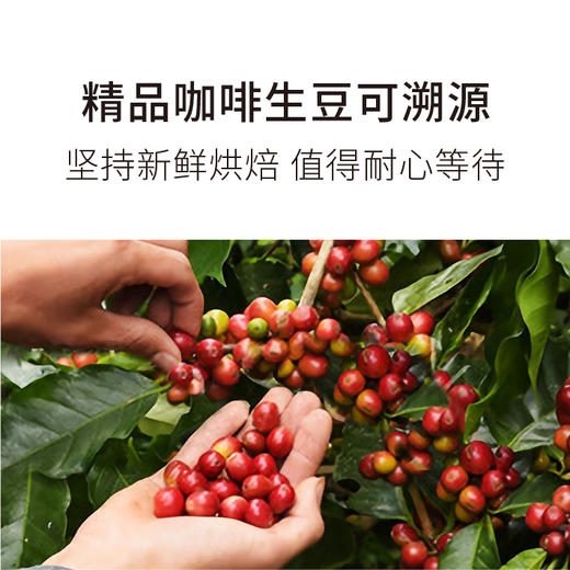 明谦新品咖啡随享挂耳咖啡黑咖啡现磨咖啡粉精品多口味 商品图3
