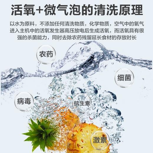 优食洗菜机果蔬清洗家用全自动水果解毒消毒食材净化器果蔬清洗机净化机 US-W01 商品图1
