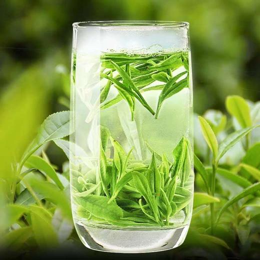 2020新茶 江西浮梁茶 浮梁绿茶 绿茶仙芝 茶叶 200g 礼盒装 买2盒减50元 商品图1
