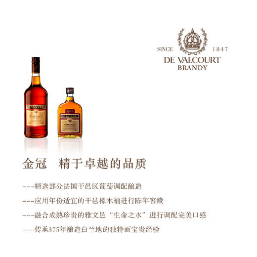 德国进口原装行货 野格利口酒 700ml 商品图2
