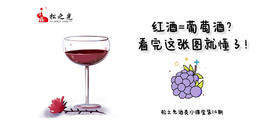  松之光酒类小课堂第14期 —— 红酒=葡萄酒？看完这张图就懂了 