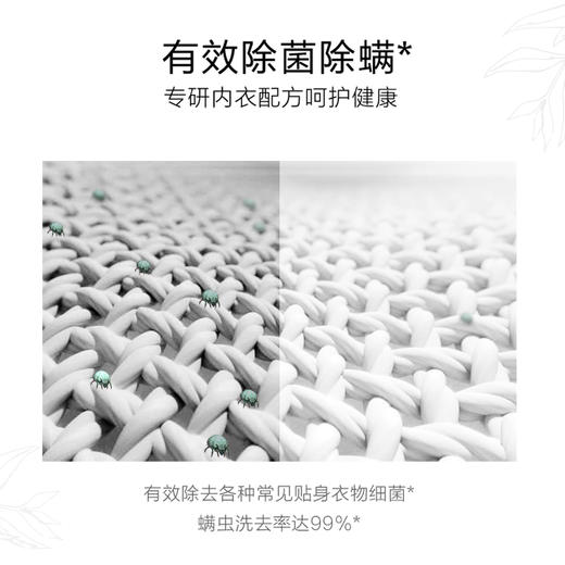 【临期】【浪奇】300g*1支LONKEY精致贴身衣物洗护精华300g/瓶有效期20270302 商品图3