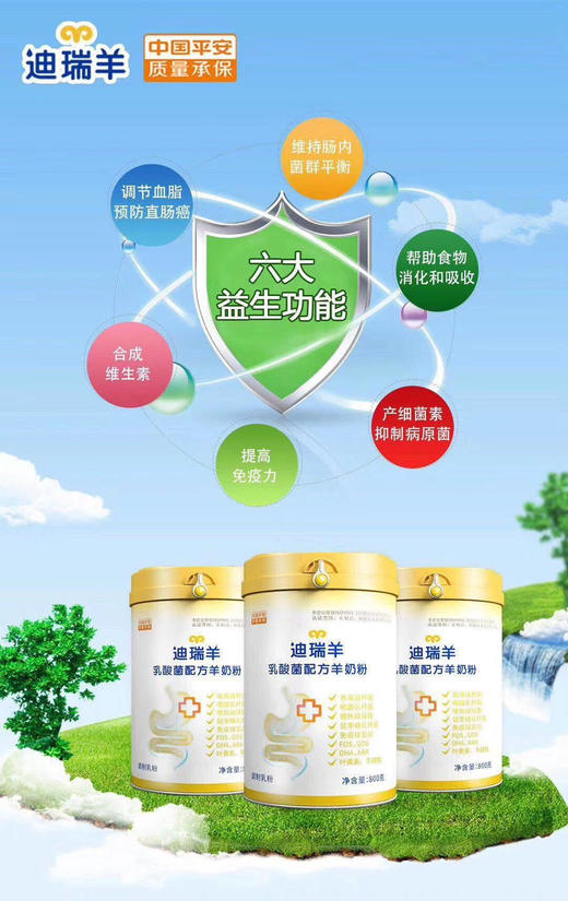 迪瑞羊乳酸菌配方羊奶粉 商品图2