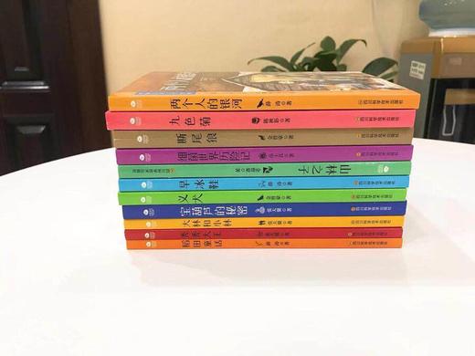 中国儿童文学经典（ 全11册） 商品图2