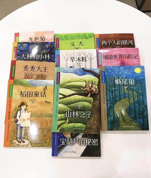 中国儿童文学经典（ 全11册） 商品图1