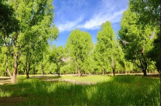 【三股水景区】50元/75元/100元/人游玩券，快抢！ 商品图6
