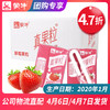 【团长】真果粒草莓果粒康美包125ml×40盒 商品缩略图0