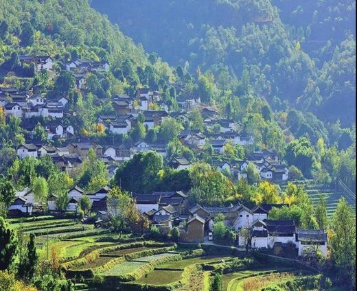 【三股水景区】50元/75元/100元/人游玩券，快抢！ 商品图4