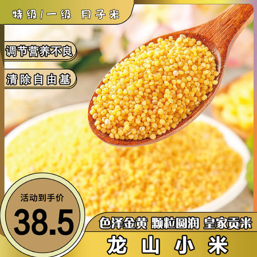 山东特产章丘龙山小米 特级 / 一级 新米宝宝月子米杂粮2.5KG袋装黄小米 商品图0