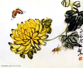 菊花丨在深秋绽放，却守护我们一春安康