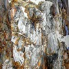第十二届全国美展 中国画作品集 商品缩略图4