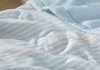 罗莱KIDS 航行莱赛尔纤维夏被 商品缩略图2