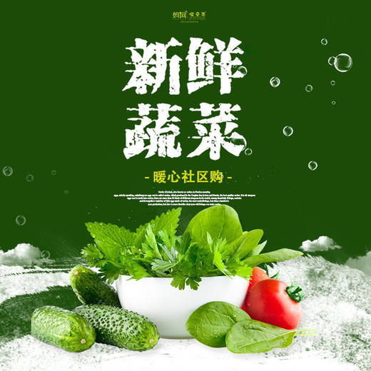 绿色蔬菜包：玉叶蔬菜基地直供 5斤/份 绿色生态蔬菜 商品图0
