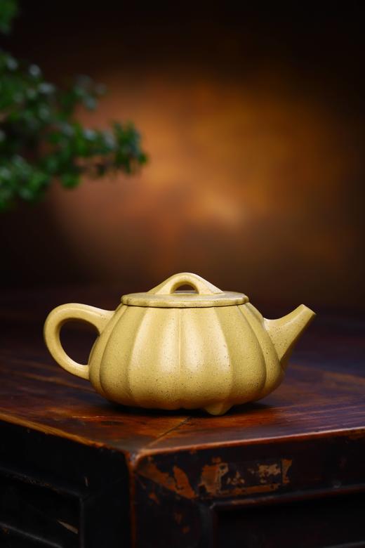 【石瓢】作者：蒋美平 泥料：开片段泥 容量：350cc 商品图5