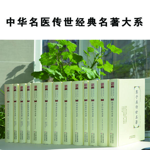 中华名医传世经典名著系列套装13本 祝味菊+恽铁樵+彭子益+陆渊雷+陆士谔+刘民叔+黄竹斋+何廉臣+丁甘仁+陈莲舫 天津科技正版图书 商品图0