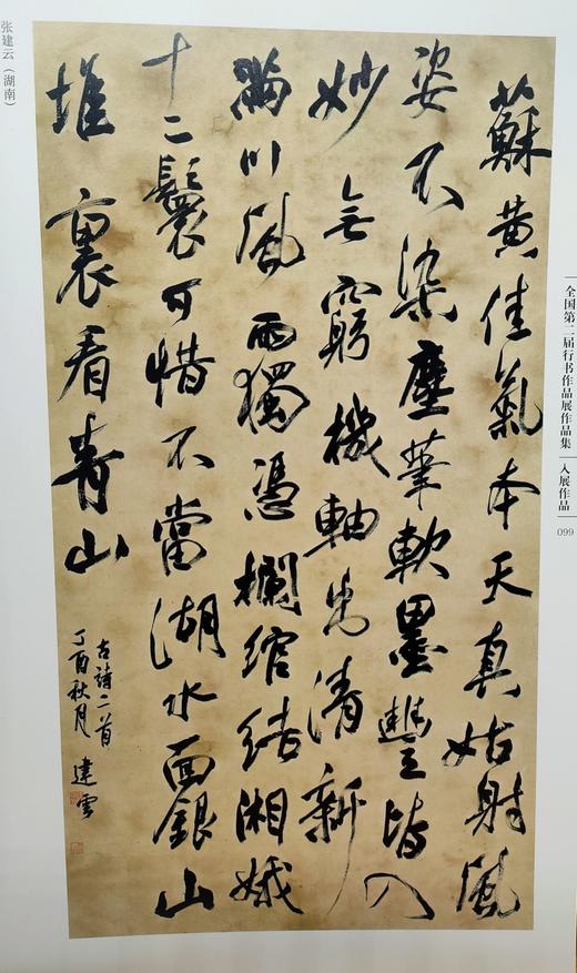 全国第二届行书作品展作品集 商品图5