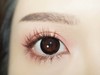 G365#LOLITA BLACK甜心黑（硅水凝胶）约14.5mm【年抛】750度缺货 商品缩略图1
