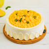 幸福西饼 原价198  2磅暖阳芒芒 生日蛋糕（约9英寸） 商品缩略图0