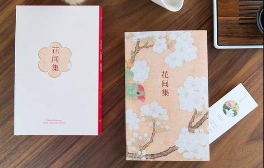 新版全新《花间集》（注释绘图版）赠送精美书签 商品图1