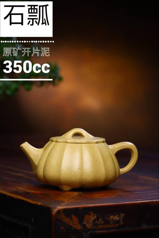 【石瓢】作者：蒋美平 泥料：开片段泥 容量：350cc 商品图0