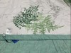 宁夏 凉感爽肤夏被（133*74） 商品缩略图1
