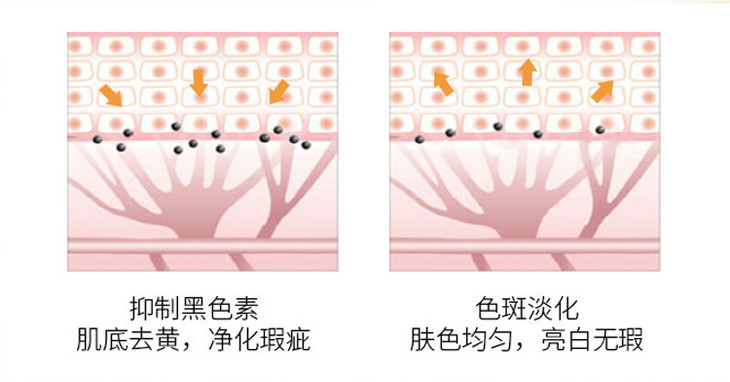 不仅可以 抑制黑色素的生成;还能抑制血铁黄素, 持续击散已经形成的黑