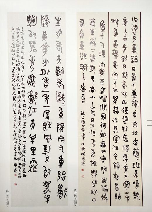 第八届中国书坛新人新作展作品集 商品图3