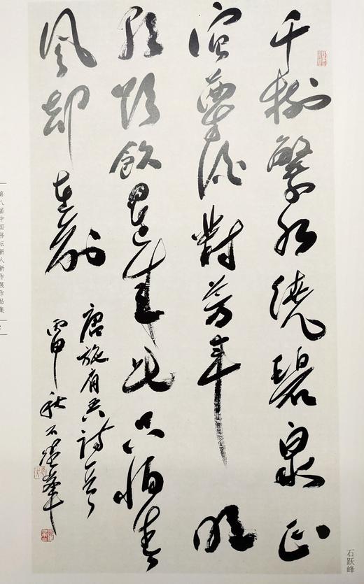 第八届中国书坛新人新作展作品集 商品图7