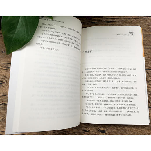 冰心奖获奖作家精品书系：爱的冬天不会有寒冷 商品图2