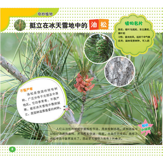 奇妙植物 趣味自然植物知识0-6岁启蒙翻翻看幼儿认知儿童百科撕不烂启蒙早教书 商品图2