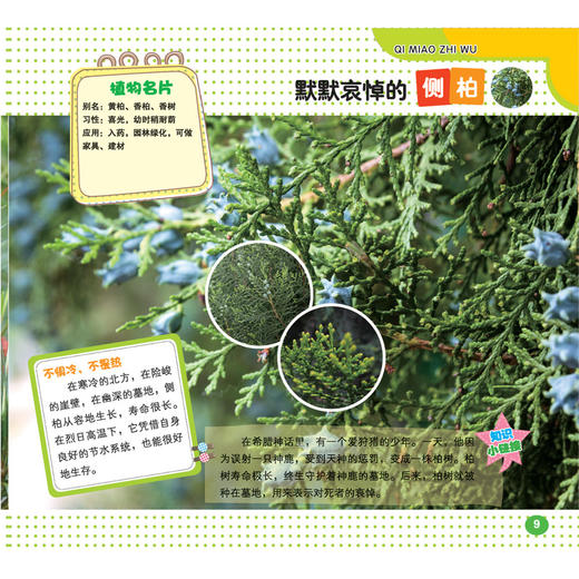 奇妙植物 趣味自然植物知识0-6岁启蒙翻翻看幼儿认知儿童百科撕不烂启蒙早教书 商品图1