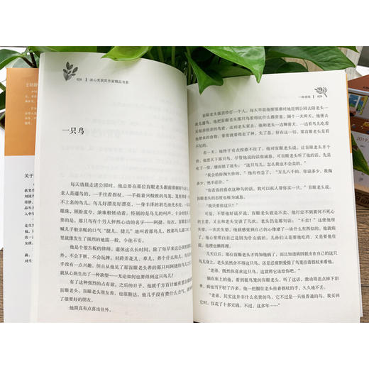 冰心奖获奖作家精品书系：一种美味 商品图2