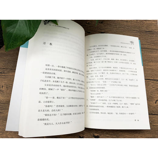 冰心奖获奖作家精品书系：寻找生命中的光亮 商品图2
