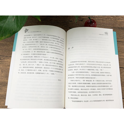 冰心奖获奖作家精品书系：幸福的味道 商品图3