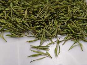  安吉白茶鲜如鸡汤，该怎么选？ 