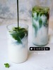 【饮品满百起送】|宇治抹茶拿铁（可与小甜品、面包搭配哦） 商品缩略图0
