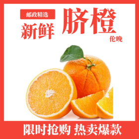 脐橙伦晚（5斤装±0.3）