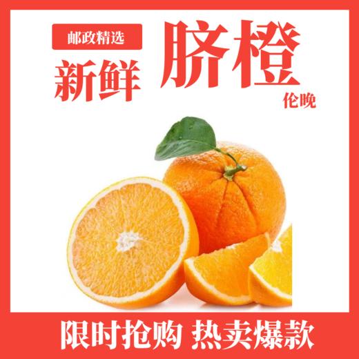 脐橙伦晚（5斤装±0.3） 商品图0
