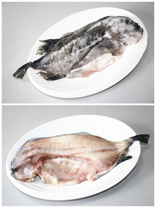 【广东奥园物业业主专享】精选冷鲜系列 冰岛海参斑开片600-800g/包 已去砂 商品图1