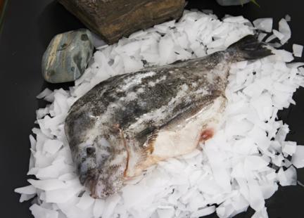 【广东奥园物业业主专享】精选冷鲜系列 冰岛海参斑开片600-800g/包 已去砂 商品图2