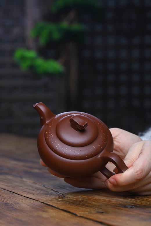 【飞天满天星】作者：范亚娟 泥料：紫泥 容量：200cc 商品图3