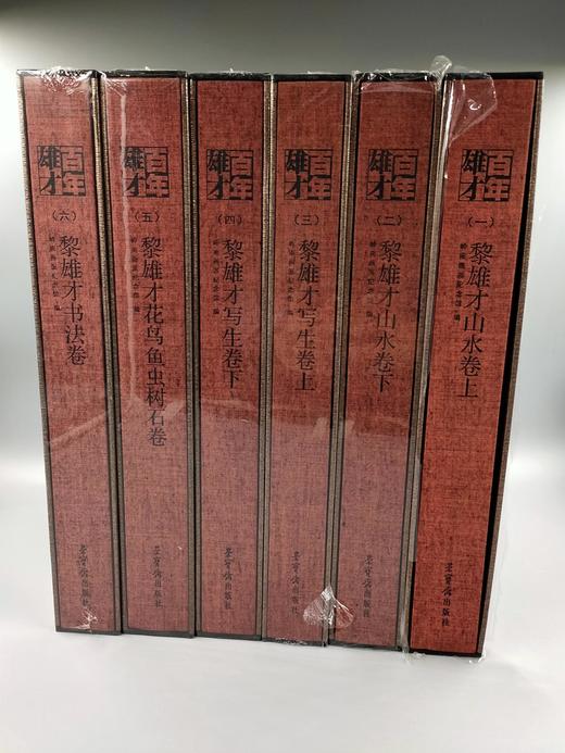 百年雄才 商品图0